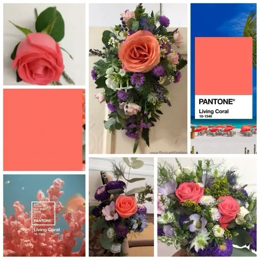 <br />
<b>Warning</b>:  Undefined variable $ImageTitle in <b>D:\Sites\4. Production\Booker Weddings\Views\Blog\BlogListing.php</b> on line <b>11</b><br />
